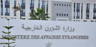 MAE: Les membres de la communauté nationale titulaires de passeports étrangers autorisés à entrer en Algérie sans visa