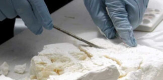 Skikda: Démantèlement d’un réseau criminel organisé et saisie de plus de 2 kg de cocaïne