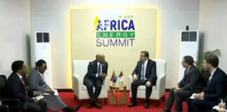 Sommet des chefs d’Etat africains sur l’énergie en Tanzanie: L’Algérie présente ses solutions énergétiques innovantes au profit de l’Afrique