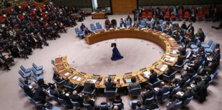 Renforcement du système antiterroriste africain: Le Conseil de sécurité consacre le président Tebboune, en sa qualité de Champion de l’UA