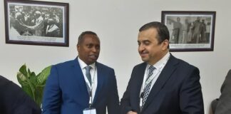Intégration africaine et internationale en matière d’énergie: Arkab réaffirme à Dar es Salam l’engagement de l’Algérie