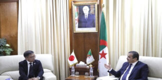 Algérie-Japon: Vers une coopération accrue dans l’énergie, les mines et les énergies renouvelables