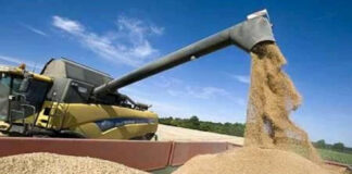 2024: Une avancée spectaculaire du secteur agricole en Algérie