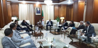 Dynamisation des infrastructures énergétiques: Bordj Bou Arreridj et Mila, avancées chiffrées et projets structurants