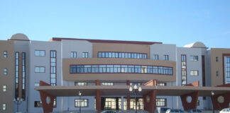 Université de M’Sila: Lancement du programme national de formation à la programmation et à l’Intelligence Artificielle