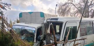 Skikda : 21 blessés dans un accident de la circulation à El Hadaïk