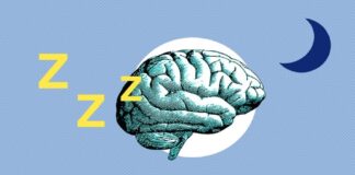 Le sommeil : un mécanisme de nettoyage essentiel pour le cerveau
