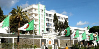 ANP: Mise en échec de tentatives d’introduction de plus de 7 quintaux de kif traité via les frontières avec le Maroc