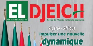 Selon la revue El Djeich: Profondeur africaine de l’Algérie: Un choix stratégique