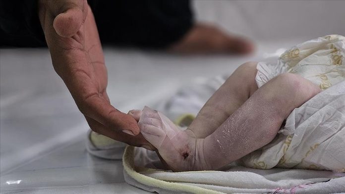 Ghaza 13 nourrissons sont morts de froid depuis le début de l'année