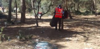 Oran: Campagne de nettoyage et de reboisement pour la valorisation de six forêts