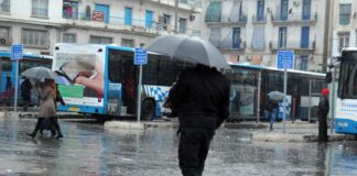 Pluies orageuses et chutes de grêles sur plusieurs wilayas à partir de samedi