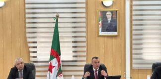 Renforcer la couverture des réseaux mobiles et améliorer l’expérience de l’utilisateur: De nouvelles mesures vers la transition numérique en Algérie