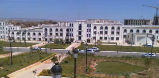 Relizane: Plus de 200 étudiants formés dans le domaine de l’entrepreunariat