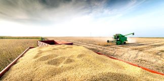 Timimoun: La société Bonifiche Ferraresi obtient un contrat de concession pour un projet de céréales et de légumineuses