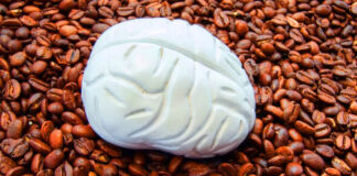 Une étude révèle un effet surprenant du café sur le cerveau