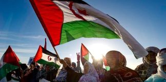 La RASD, célèbre demain le 49e anniversaire de sa proclamation: Un parcours riche en réalisations à tous les niveaux