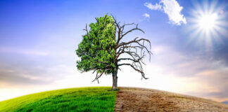 Changements climatiques: L’Algérie parmi les 24 «hotspots» climatiques mondiaux