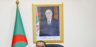 FAF: Le cavalier seul de « Walid Sadi »