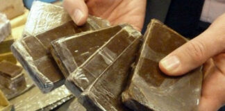 Béchar: Plus de 11 kg de kif traité dissimulé dans un appareil électroménager saisis, les suspects appréhendés