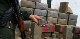 El Bayadh: Plus de 400 Kg de kif traité saisis, 13 personnes arrêtées