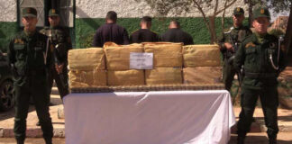 ANP: Mise en échec de tentatives d’introduction de plus de 7 quintaux de kif traité via les frontières avec le Maroc