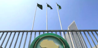 38e Sommet de l’UA: L’Algérie réaffirme son engagement à lutter contre les effets néfastes du changement climatique