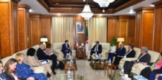 Algérie-République Tchèque: Renforcer la coopération dans le domaine des énergies et des mines