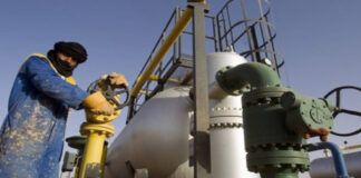 Gaz et pétrole: La France a importé pour 4,66 milliards d’euros d’Algérie durant les 11 premiers mois de 2024 (-11,8%)