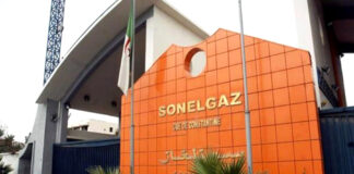 Electricité: Une délégation de Sonelgaz au Caire pour examiner les opportunités de coopération avec des sociétés égyptiennes