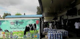 Constantine: La laiterie Numidia augmente sa production à 240.000 litres/jour en prévision du Ramadhan