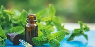 L’odeur de menthol, un espoir inattendu pour lutter contre la maladie d’Alzheimer