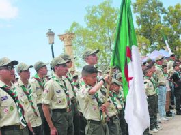 Tissemsilt: Installation d’une commission de wilaya de partenariat entre les scouts et le secteur de la jeunesse et des sports