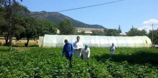 Chambre d’agriculture d’Oran: Formation de près de 150 agriculteurs et porteurs de projets dans les techniques modernes