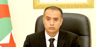 FAF: Walid Sadi, appelle l’ensemble des acteurs à s’allier au projet de développement du football national