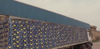 Port d’Annaba: Saisie de 34 conteneurs de bananes