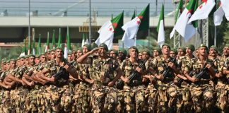 Protection des frontières: Une nouvelle performance des forces de l’ANP