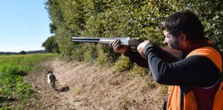 Chasse en Algérie: Plus de 26.000 permis délivrés depuis 2018