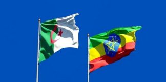 Vers un partenariat renforcé dans le secteur de l’énergie: L’Algérie prête à fournir jusqu’à 2 millions de tonnes d’engrais par an à l’Éthiopie