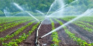 Mila: De nouveaux périmètres d’irrigation