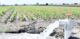 M’sila: Mis en service de 3 forages pour renforcer l’alimentation en eau potable d’Ouled Derradj et du chef-lieu de wilaya