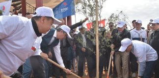 PHOTOS/Algérie-Chine : plantation de 500 oliviers à Alger pour renforcer l’amitié