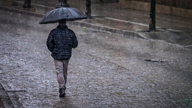 Des pluies orageuses sur plusieurs wilayas du pays dimanche et lundi