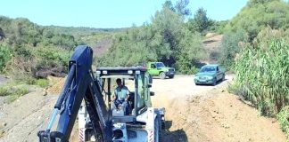 Jijel: Vers l’aménagement de 125 km de pistes forestières