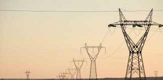 Laghouat: Quarante exploitations agricoles raccordées au réseau d’électricité à El-Kheneg