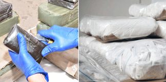 Saisie de plus de 26 tonnes de kif traité et 147 kg de cocaïne durant l’année 2024