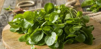 Voici l’aliment le plus sain au monde, et c’est la science qui le dit