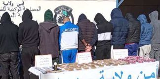 Oran: Démantèlement de trois réseaux criminels de trafic de drogue