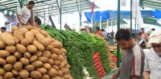 Palestine: La situation à Ghaza est un « enfer sur terre » depuis l’agression sioniste, selon l’CICR