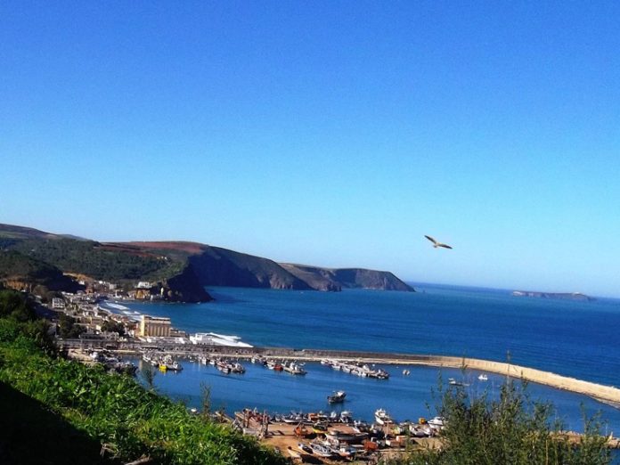 p 10 1 Ain Temouchent